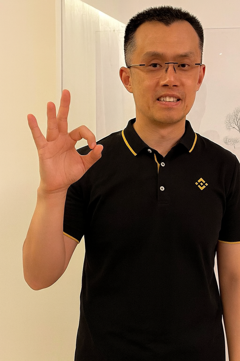 CZ hand forming OK sign like a zero